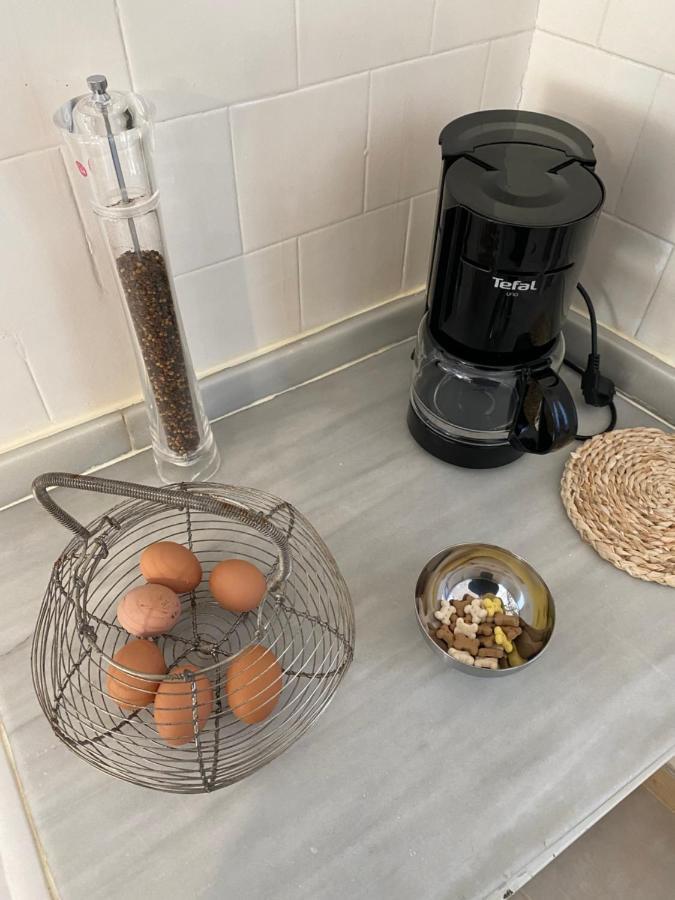 Апартаменты Chez Helene 3 Etoiles, Labellise Disabled Pmr,Pour 4 Personnes Chiens Bienvenus-Pet Friendly Бур-Мадам Экстерьер фото